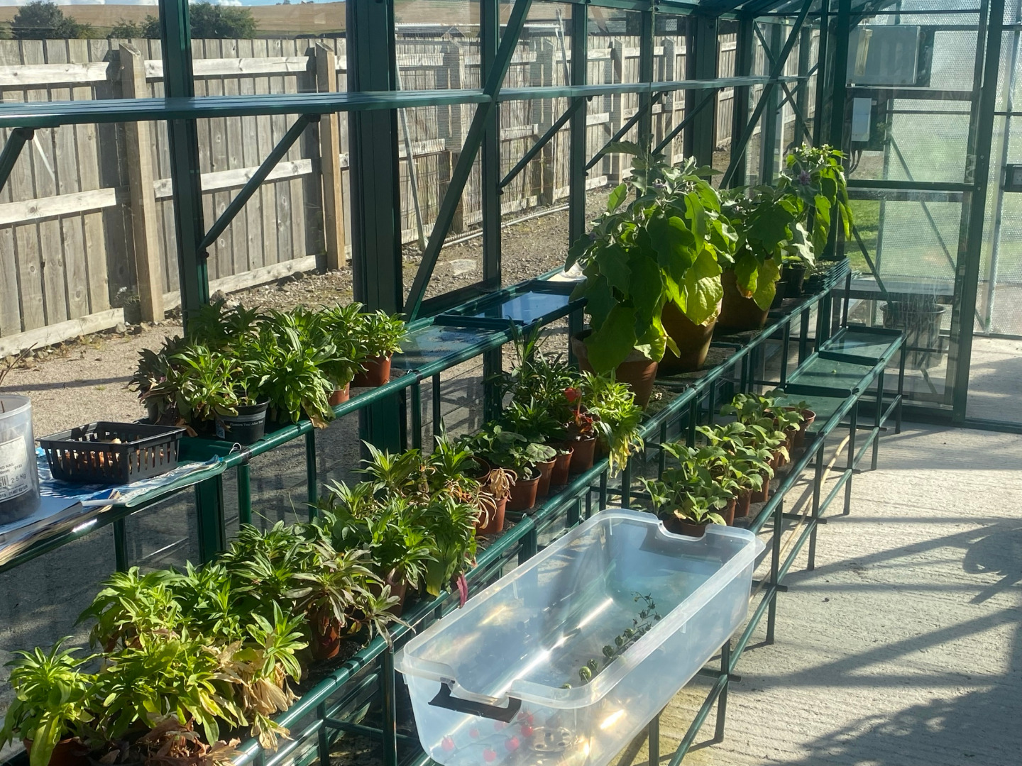 Green Hub image 3